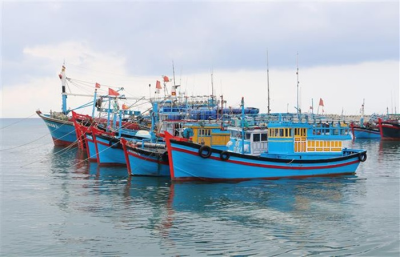 Hình ảnh Một số hình ảnh về trung tâm