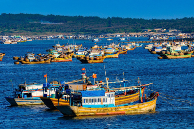 Một số quy định trong khai thác và đánh bắt thủy hải sản ở Việt Nam