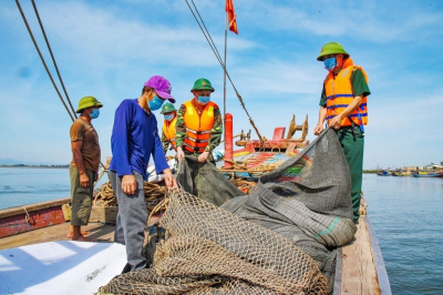 Cập nhật quy định mới về đánh bắt hải sản và thủ tục thủy sản